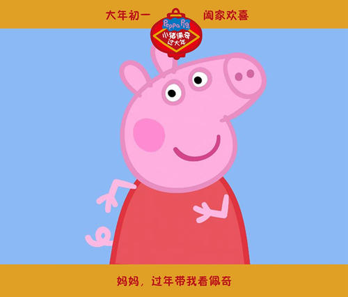 仿制假捷克签证
